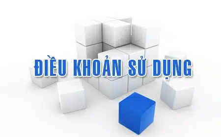 Điều khoản sử dụng